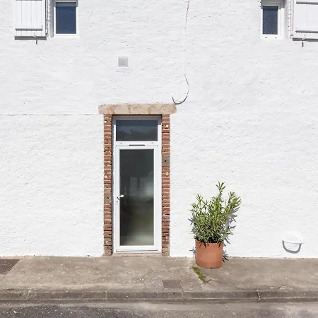 Le Passage - Appartement Lumineux A La Madeleine Albi Exterior photo